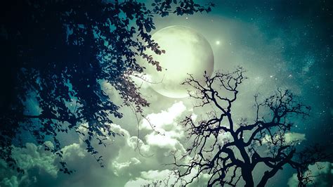 Beauty Of Moonlight At Night Sky Near Sea Poetic Nature Images