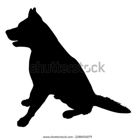 Dog German Shepherd Sitting Silhouette Dog Stock Vector Royalty Free