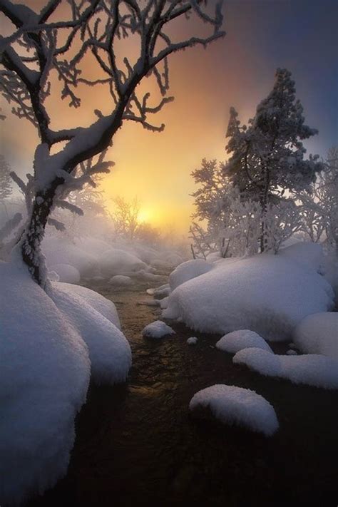 Golden Light On Imgfave Winter Scenery Winter Landscape Winter Scenes