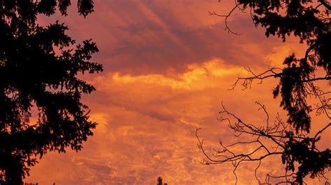 Hd Wallpaper Canada Canmore Tree Sunset Silhouette Sky Cloud