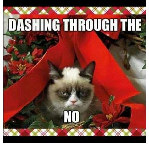 Hahahah Dashing Through The No Grumpy Cat Christmas Grumpy Cat Meme