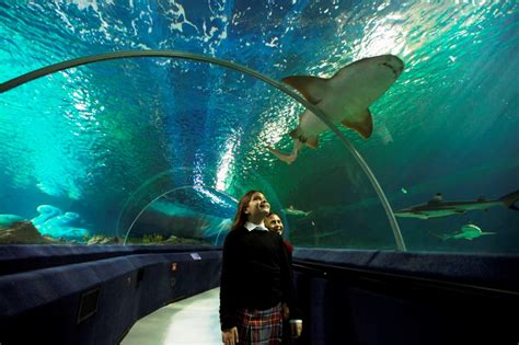 İstanbul Aquarium Tour Ikiz Tour Turkey Travel Agency