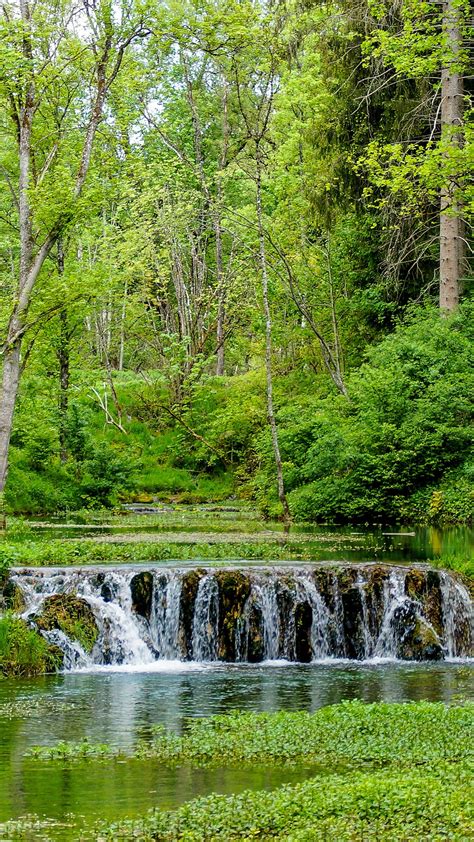 Waterfall In The Greenery Forest Pouring On Plants Covered River 4k Hd