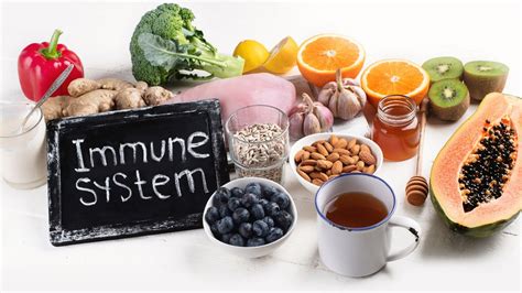 Foods That Keep Immune Systems Balanced And Healthy Surfolks