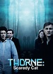 Watch Thorne: Scaredy Cat Online | Netflix