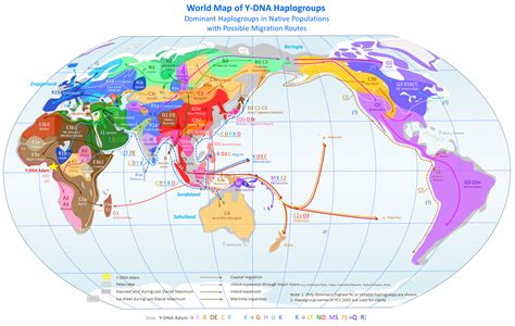 World Map Of Y Dna Haplogroups Png 3 000×1 900 Pixeles México Pinterest Simbología