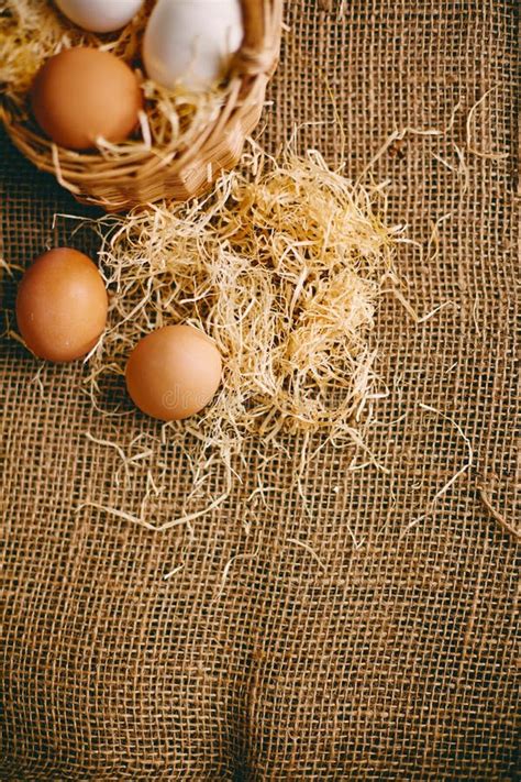 Eggs On Hessian Stock Photo Image Of Fiber Stationary 57054752