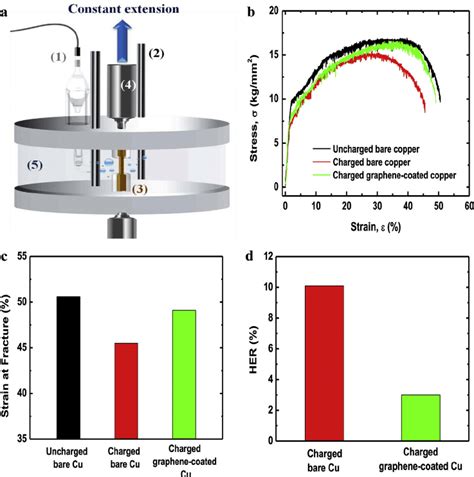 e the results of specimen by slow strain rate tests a schematic of download scientific