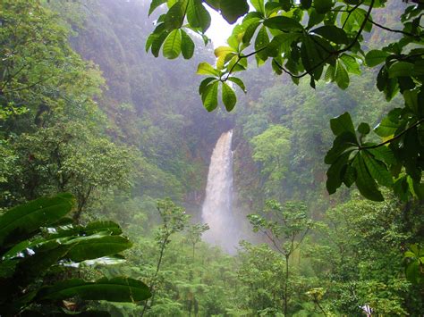trafalgar falls dominica the whole little island of dominica is a rain forest it is an
