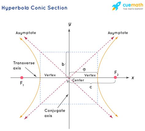 Conic Section Definition Formulas Equations Examples 2023