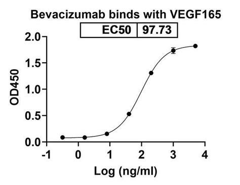 Bevacizumab Recombinant Human Monoclonal Antibody Invitrogen 100 μg