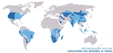 Ist die krankheit pest ausgerottet? Pest - Wikipedia