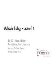 BIOL367 Lecture 14 Ch 9 Pdf Molecular Biology Lecture 14 Biol