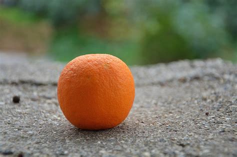 Orange Des Fruits Agrumes En Bonne Photo Gratuite Sur Pixabay Pixabay