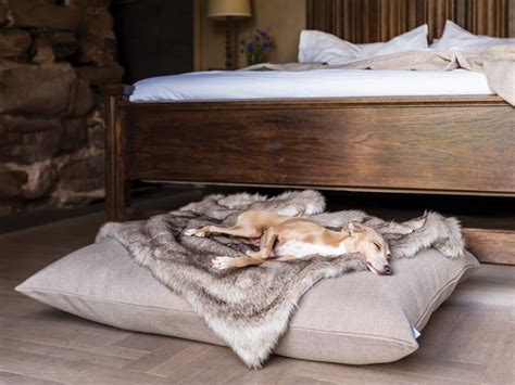 Luxury Mattress Style Dog Bed — Charley Chau Luxury Dog Beds And Blankets