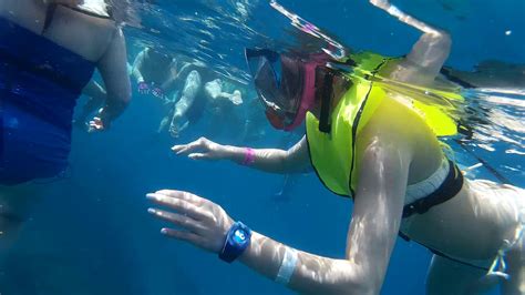 barbados snorkeling youtube