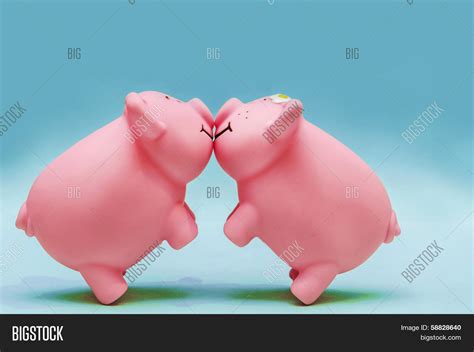 Kissing Pigs Image And Photo Free Trial Bigstock