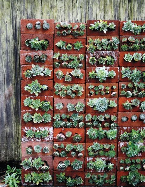 34 Diy Ideas With Bricks Brick Wall Gardens Succulents Diy Succulents