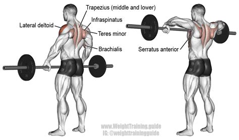 Wide Grip Upright Row Exercise Guide And Video Weight Training Guide