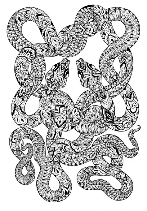 15 Best Snake Coloring Pages For Adults For Printable Coloring Pages