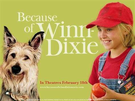 Wallpaper Cinema Because Of Winn Dixie Because Of Winn Dixie 56323