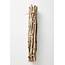 Anthropologie Is Selling A Bundle Of Twigs For $42  Simplemost