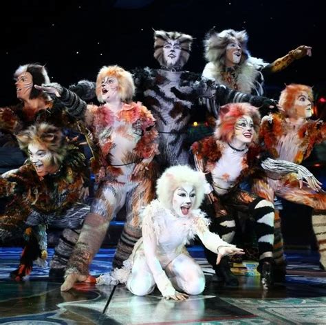 With lyricist collaborator tim rice, he'd created jesus christ superstar, evita, and joseph and the. Memories of Moonlight: Andrew Lloyd Webber's CATS hits ...