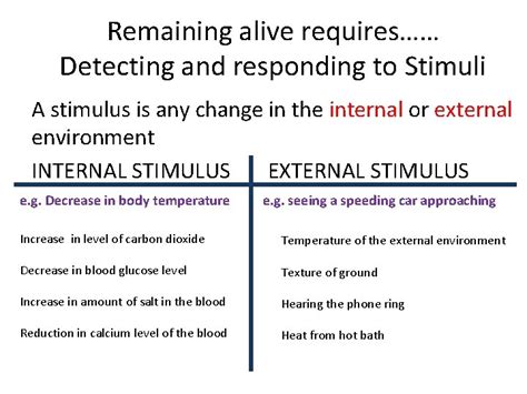 Stimulus Response Model Remaining Alive Requires Detecting And