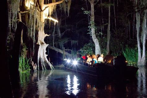 This Nighttime Swamp Tour Will Show You A Whole New Side Of New Orleans New Orleans Swamp Tour