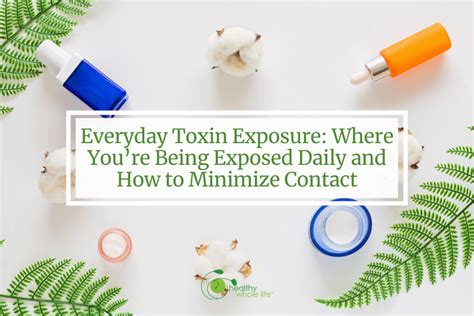 Everyday Toxin Exposure Where Youre Being Exposed Daily Healthy