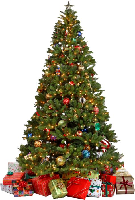This png has a resolution of 795x1006. Traditional Christmas Tree with Gifts PNG Image - PurePNG | Free transparent CC0 PNG Image Library