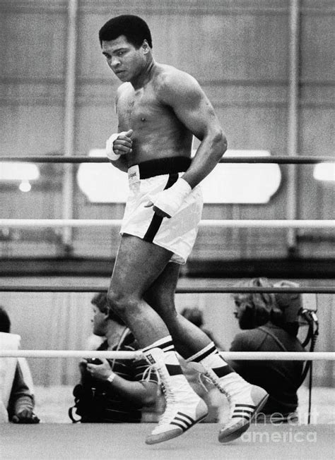 Muhammad Ali Training In A Boxing Ring Photograph By Bettmann Pixels