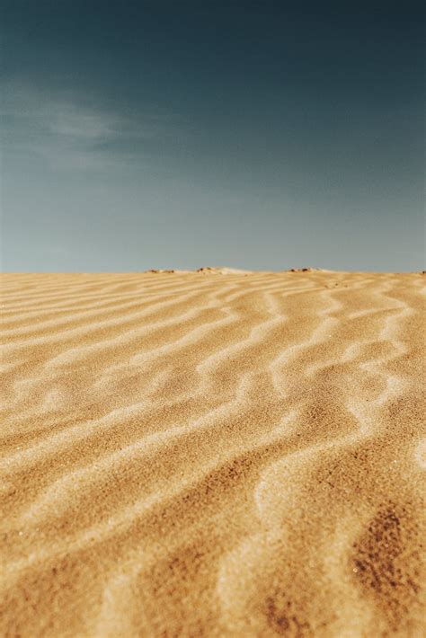 Dry Desert In Hot Sunny Day · Free Stock Photo