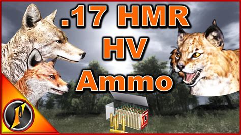 17 Hmr Hv Ammo Hunt Thehunter Classic 2018 Youtube