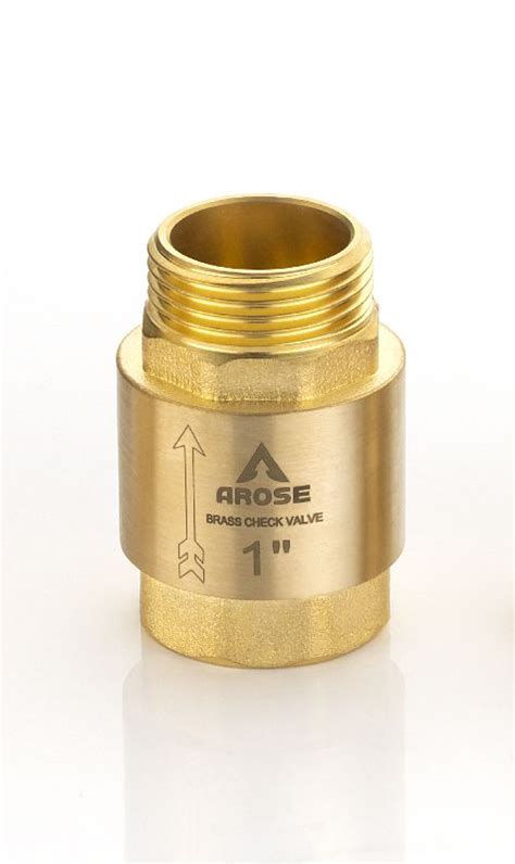 M X F Brass Vertical Check Valve At Rs 100 Piece In Jamnagar Arose