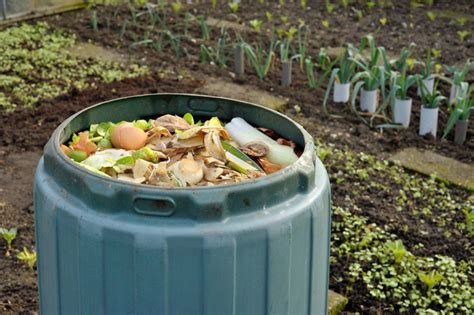 Nobody knows how many people are currently invested in bitcoin. How To Keep A Compost Bin Clean - Washing A Compost Bin