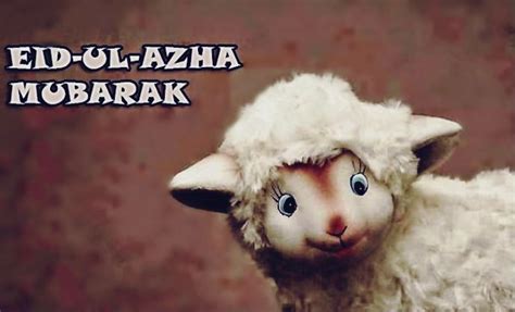 Share this on whatsappeid is a muslim festival, similar to christmas, but unlike the catholics. Happy Eid-Ul-Adha-Mubarak 2017 Wishes Greetings Messages ...
