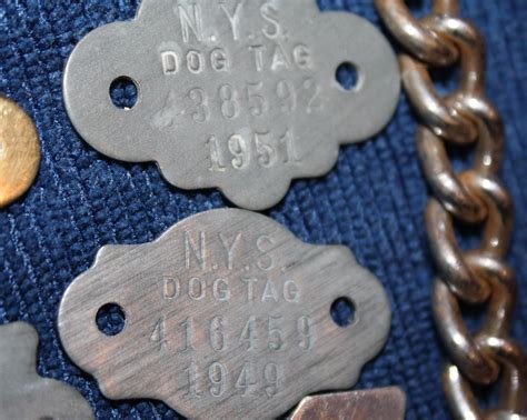 lot-of-14-vintage-metal-nys-dog-license-tags-choker-collar