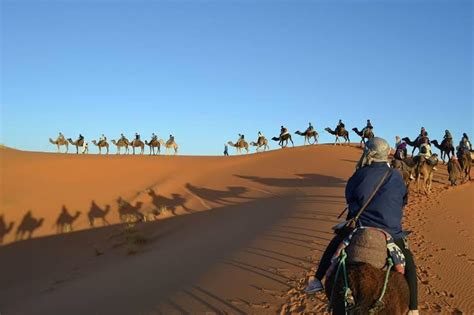 Tour 6 Days To Desert Adventure Sahara Tour From Marrakech Morocco