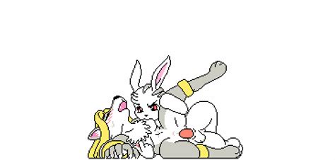 Be Kon Box Naughty Rabbit Animated Tagme Furry Sex Image View