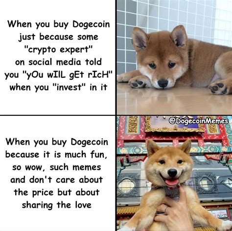 Doge Memes