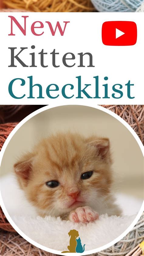 The New Kitten Checklist