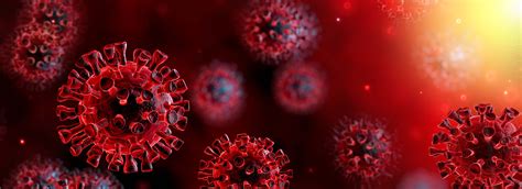 Whats Next For The Coronavirus Outbreak Pomona College In Claremont