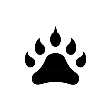 Best Bear Paw Print Illustrations Royalty Free Vector Graphics And Clip