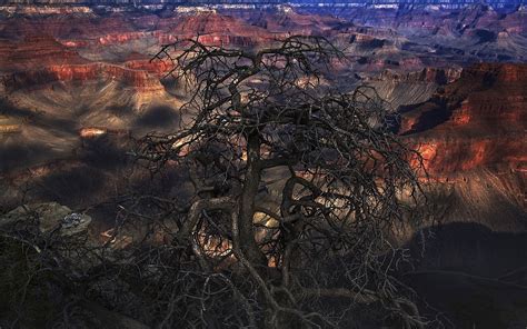 Wallpaper Landscape Nature Erosion Canyon Grand Canyon Dead
