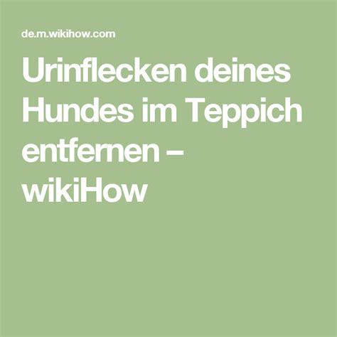Flecken auf dem teppichboden sind ärgerlich, doch mit ein paar tricks lassen sie sich entfernen. Urinflecken deines Hundes im Teppich entfernen - wikiHow ...