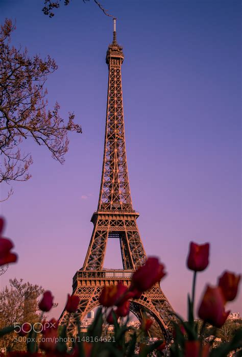 Eiffel tower website to avoid lines (and waiting for hours to go up). Sunset glow - Eiffel Tower by kds_photo (With images)