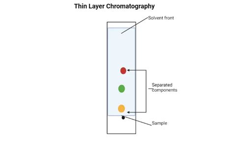 Thin Layer Chromatography Set Up