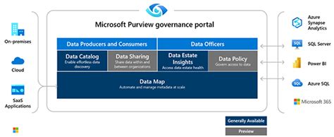 Transformative Data Governance With Microsoft Purview Revgen