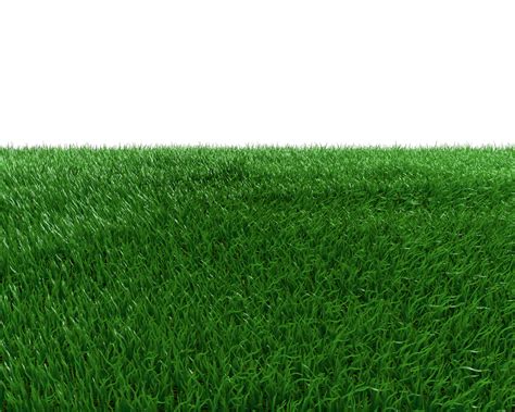 Free Grass Field Png Download Free Grass Field Png Png Images Free Porn Sex Picture